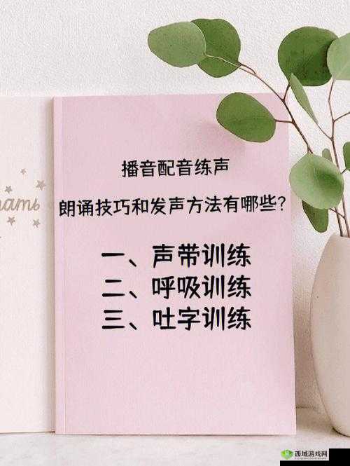 舌战玉门：技巧与方法大揭秘