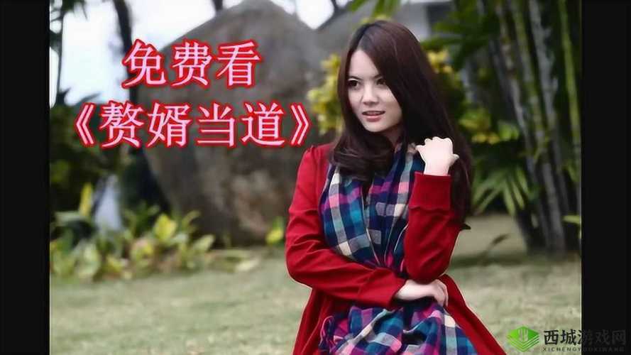 最终还是从了女婿岳风突然爆红：背后的真相