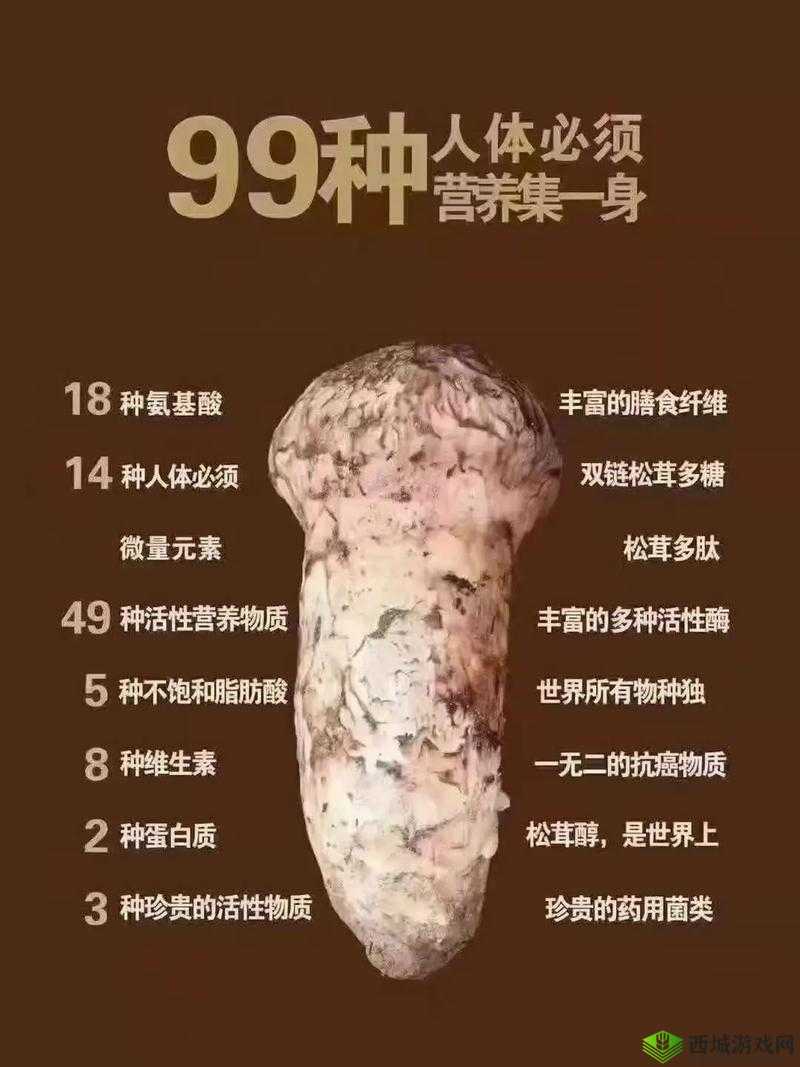如何在小森生活中高效探寻松茸？位置、管理、避废与价值提升全攻略